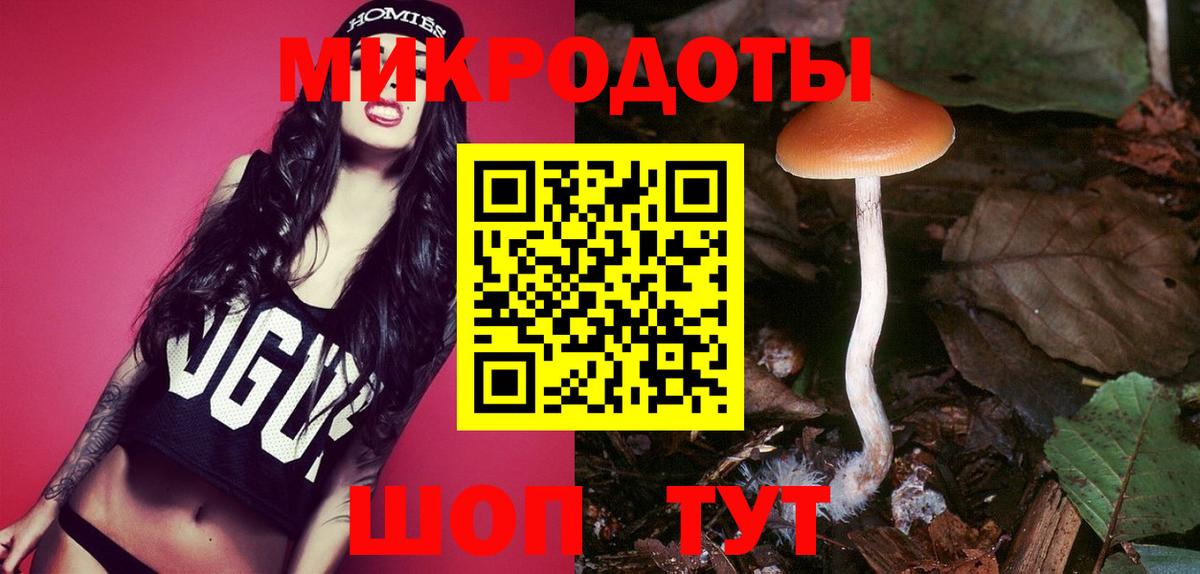 Ковров  Галлюциногенные грибы Psilocybe  Вход с VPN  Галлюциногенные грибы мицелий 